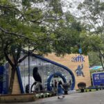 IFFK 2024: Delegates from outside Kerala on what draws them to the festival every year