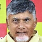 Union budget is growth-oriented: Andhra CM Naidu 
