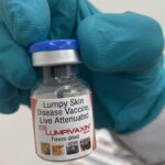 Lumpy skin disease vaccine developed by Bharat Biotech group firm with ICAR gets CDSCO licence