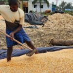 RBI MPC meeting 2025: RBI projects 6.7% growth for FY’26 on better Rabi harvest, tax relief by govt