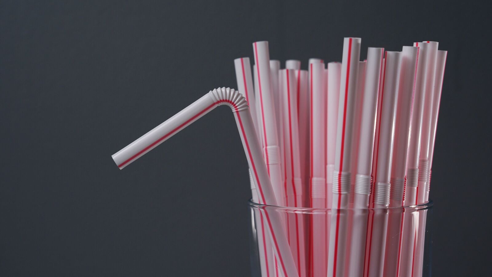 Humanity may be at risk of being strangled by a plastic straw