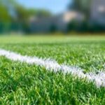 New Zealand beats Pakistan by 8 wickets with 10 overs to spare in the 4th T20