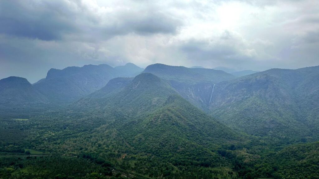 An ode to the hills: Sky Islands, a digital platform featuring stories from the Western Ghats, set to be launched