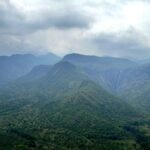 An ode to the hills: Sky Islands, a digital platform featuring stories from the Western Ghats, set to be launched