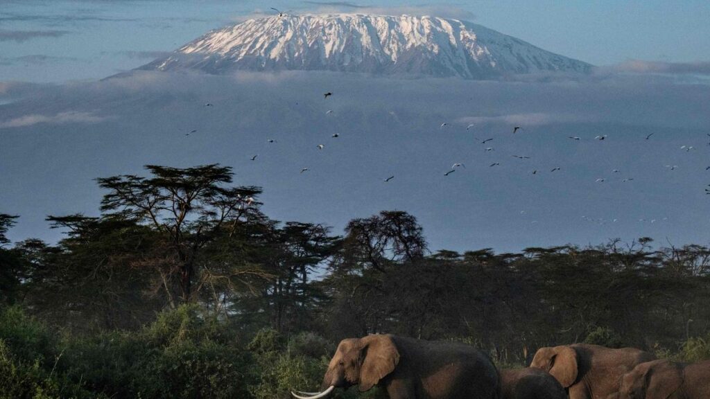 The highs and lows of summiting Mount Kilimanjaro in eight days