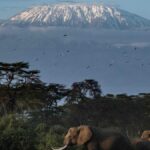The highs and lows of summiting Mount Kilimanjaro in eight days