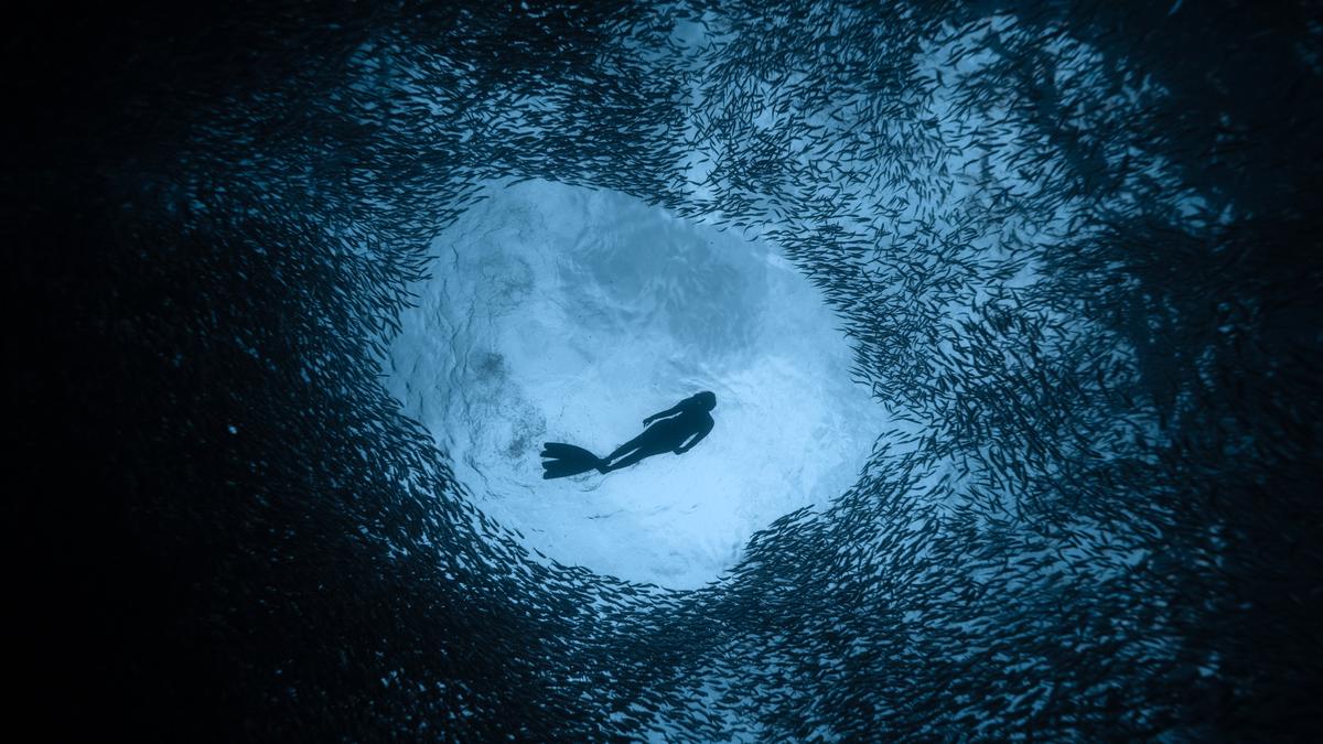 Meet Archana Sankaranarayanan, India’s deepest female freediver