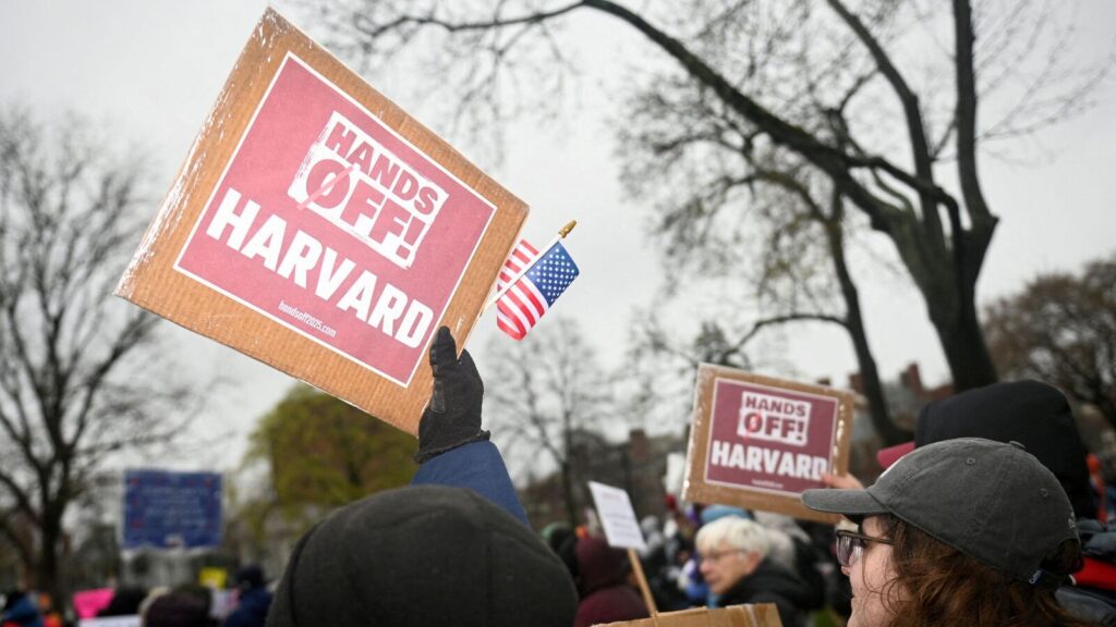 Attack Harvard to make America grate on its own nerves again