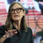 Musk is ‘dialing back’ on conflict with Trump under regulatory threat, says ARK CEO Cathie Wood