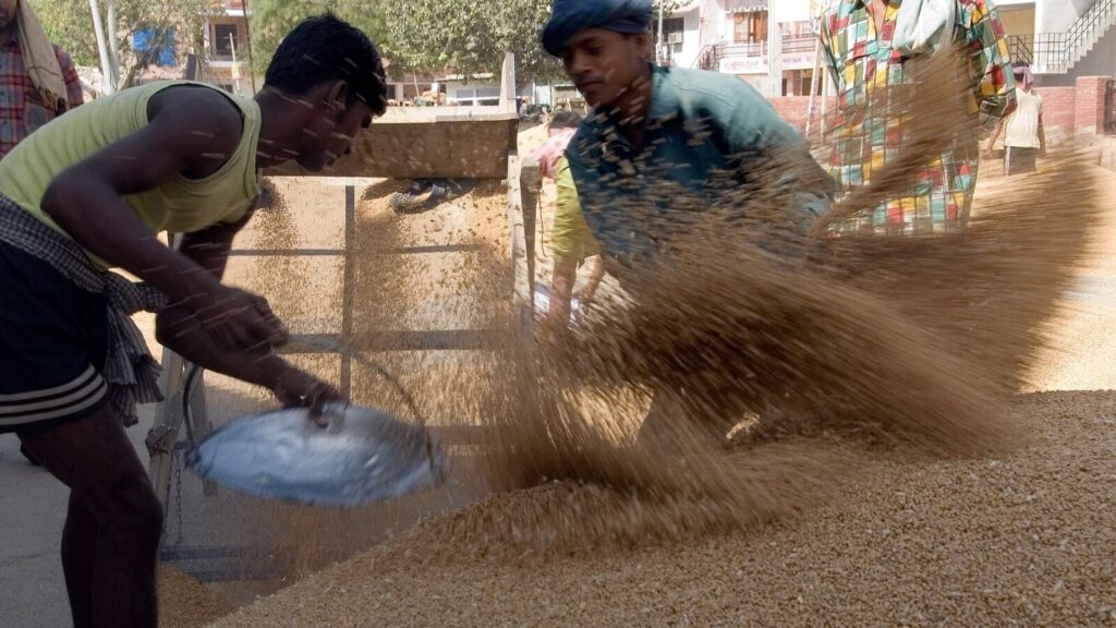 Diverting food security rice stocks to ethanol production flies in the face of economics