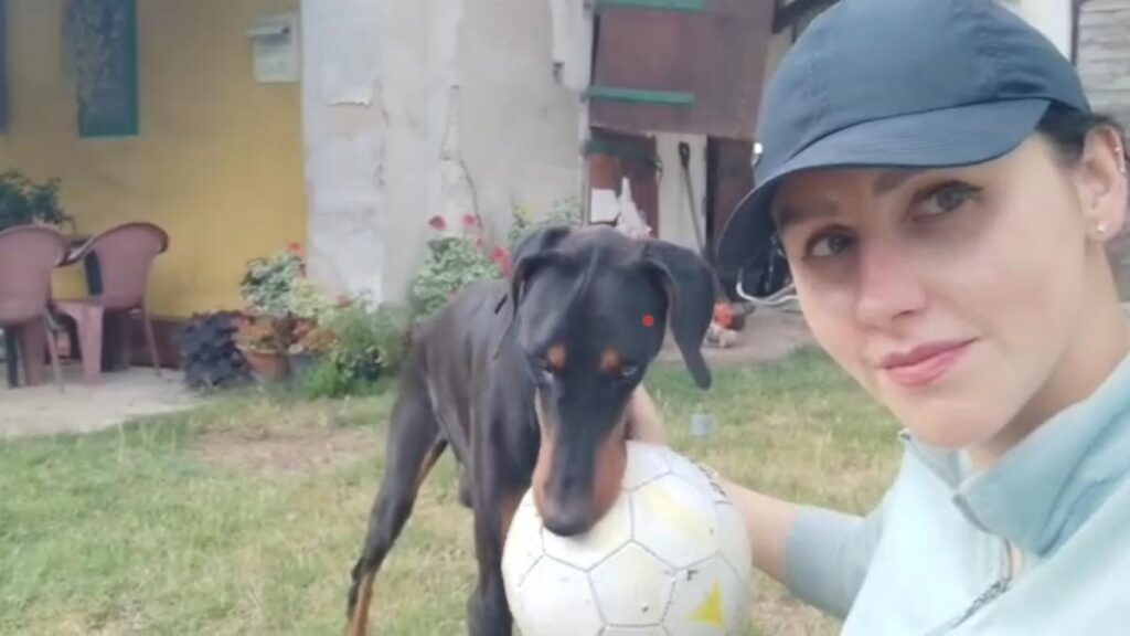 Pattu, the Doberman rescued in Chennai, finds forever home 7,200 km away in Prague
