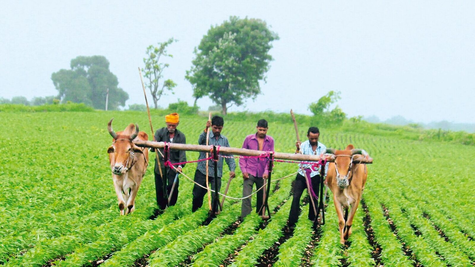 Vital to the US but in need of vitality at home