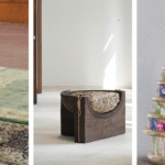 India and the curious case of the collectible