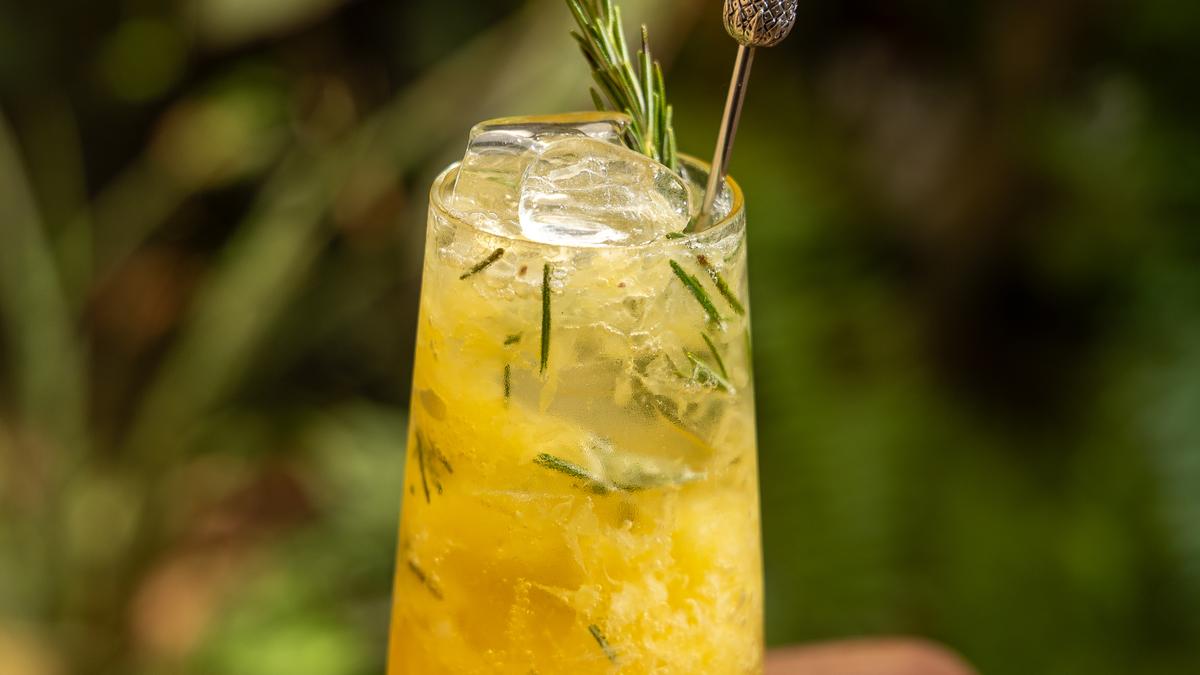 European themed cafe opens in Coimbatore where you can enjoy seafood mezzaluna pastas, harissa marinated chicken drumsticks, lamb burgers, labneh platter and more