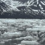 Three Chennai retirees travel to both ends of the Earth