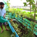 Balcony garden design ideas that add value to your home
