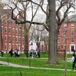 Equity stakes: A fixation with levelling the playing field for everyone could hold an economy back