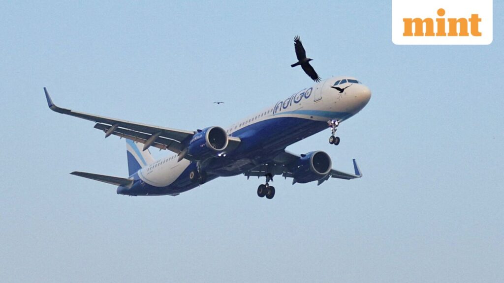 IndiGo slapped with ₹13 lakh GST penalty, airline to contest order — details here