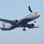 IndiGo slapped with ₹13 lakh GST penalty, airline to contest order — details here