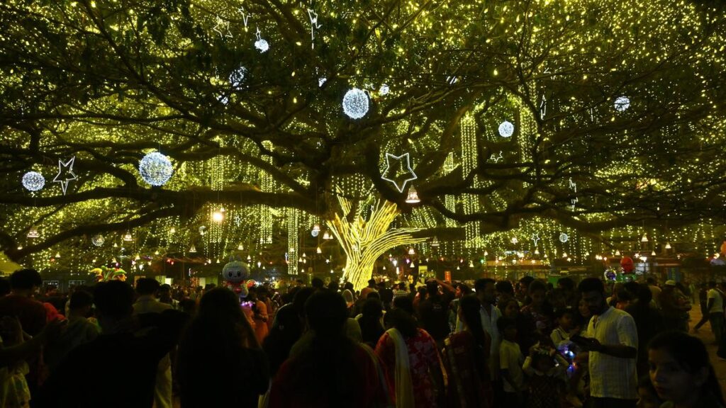 Fort Kochi’s viral Christmas tree shines bright with more than 100,000 lights