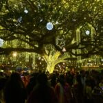 Fort Kochi’s viral Christmas tree shines bright with more than 100,000 lights