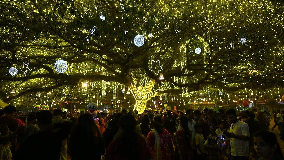 Fort Kochi’s viral Christmas tree shines bright with more than 100,000 lights