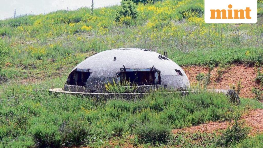 The year that could be