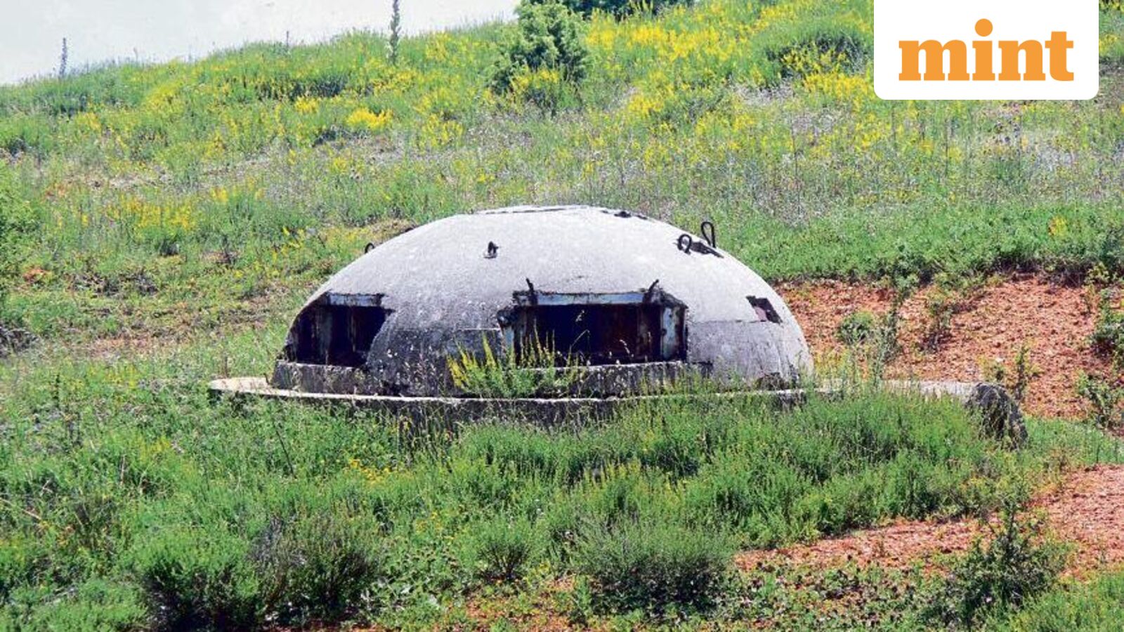 The year that could be