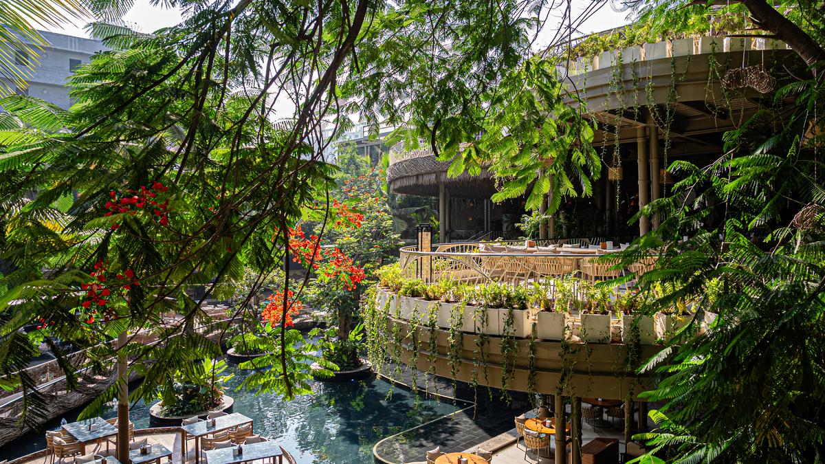 Where to eat out in Bengaluru this January 2026