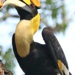 Workshop on bird watching to be held in Wayanad