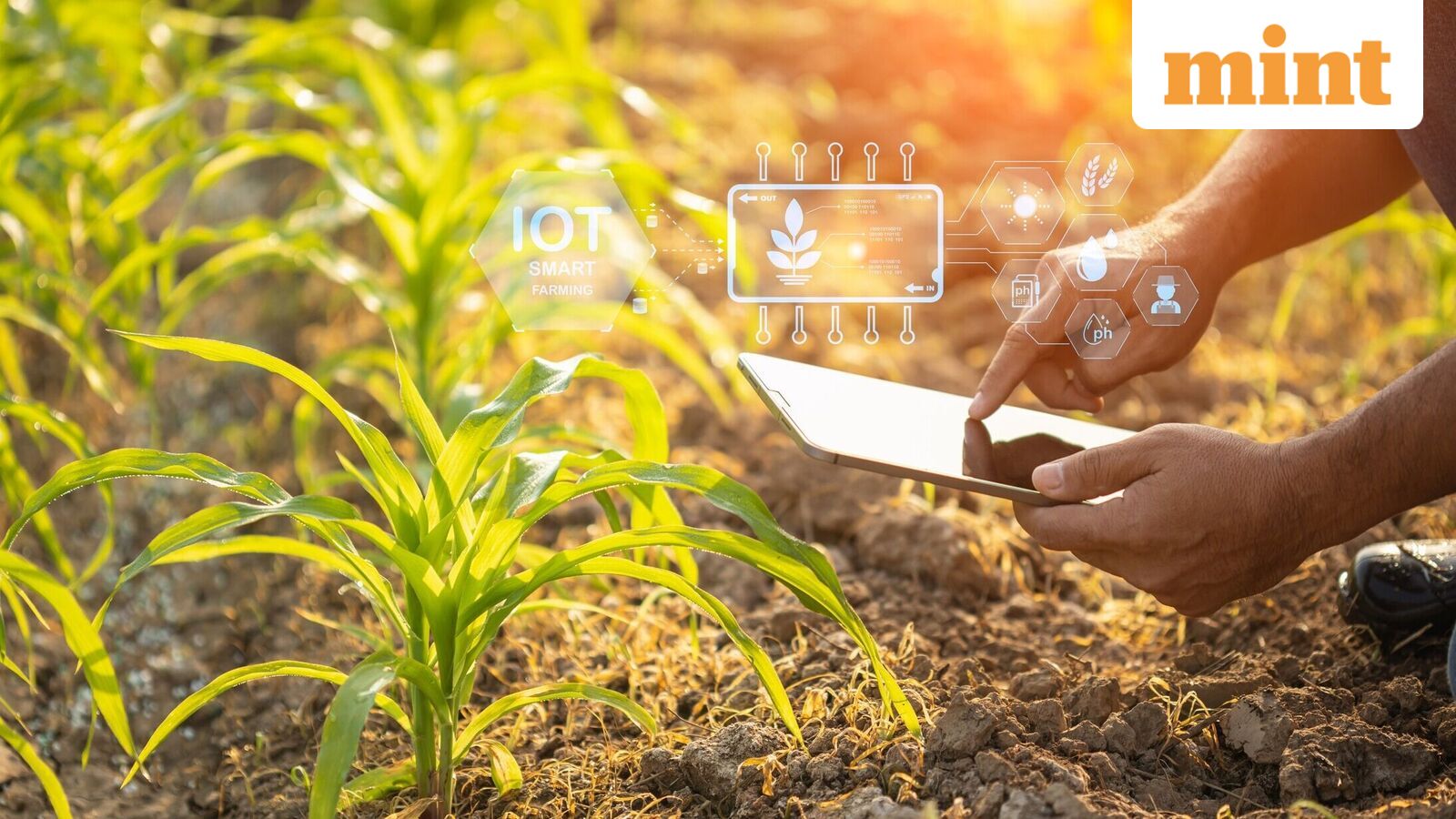 AI diffusion across India’s farms will hinge on earning the trust of farmers as much as infrastructure