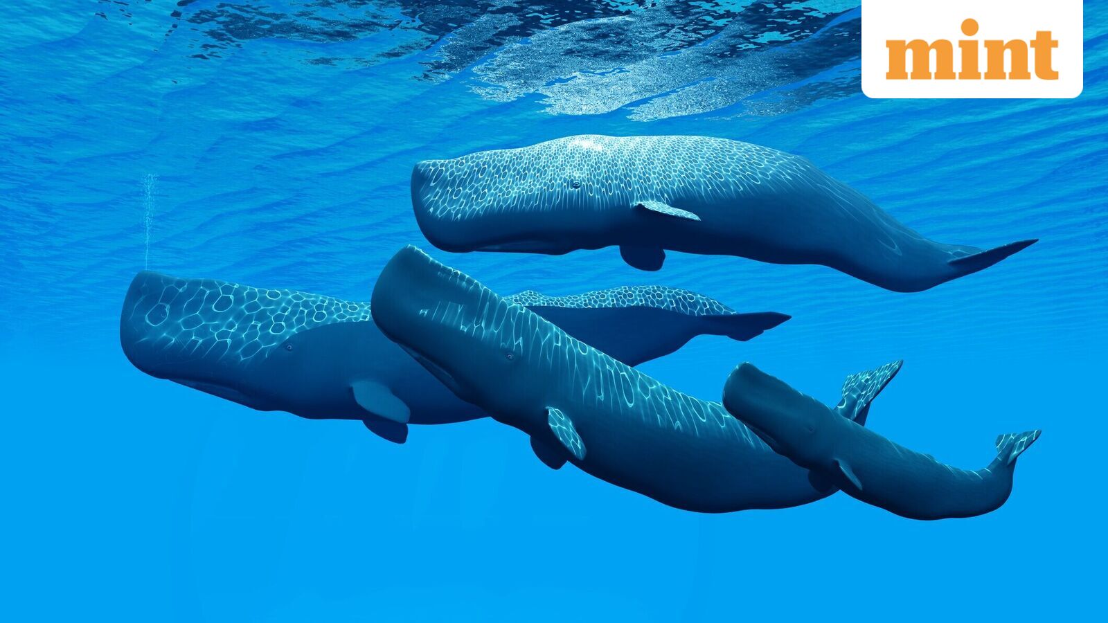 How AI allows us to end the practice of treating animals as a resource for scarce substances