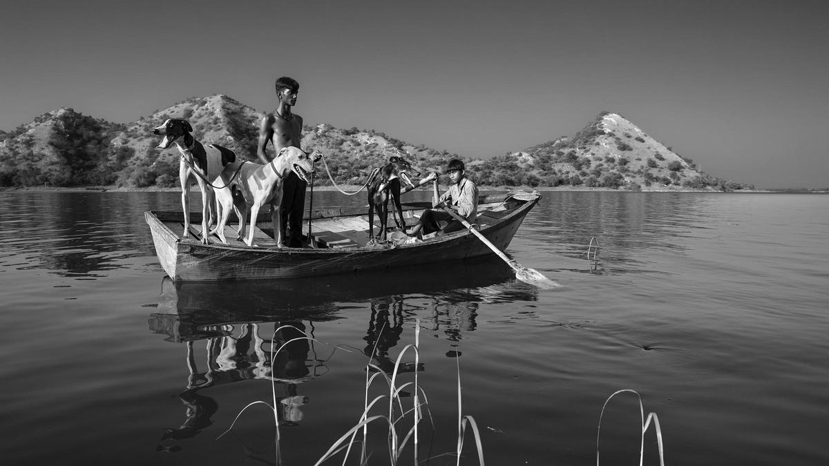 Asha Thadani brings to the fore communities shrouded in mystery