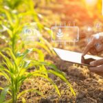 Kris Gopalakrishnan: The age of AI needs a new growth model—green innovation and entrepreneurship