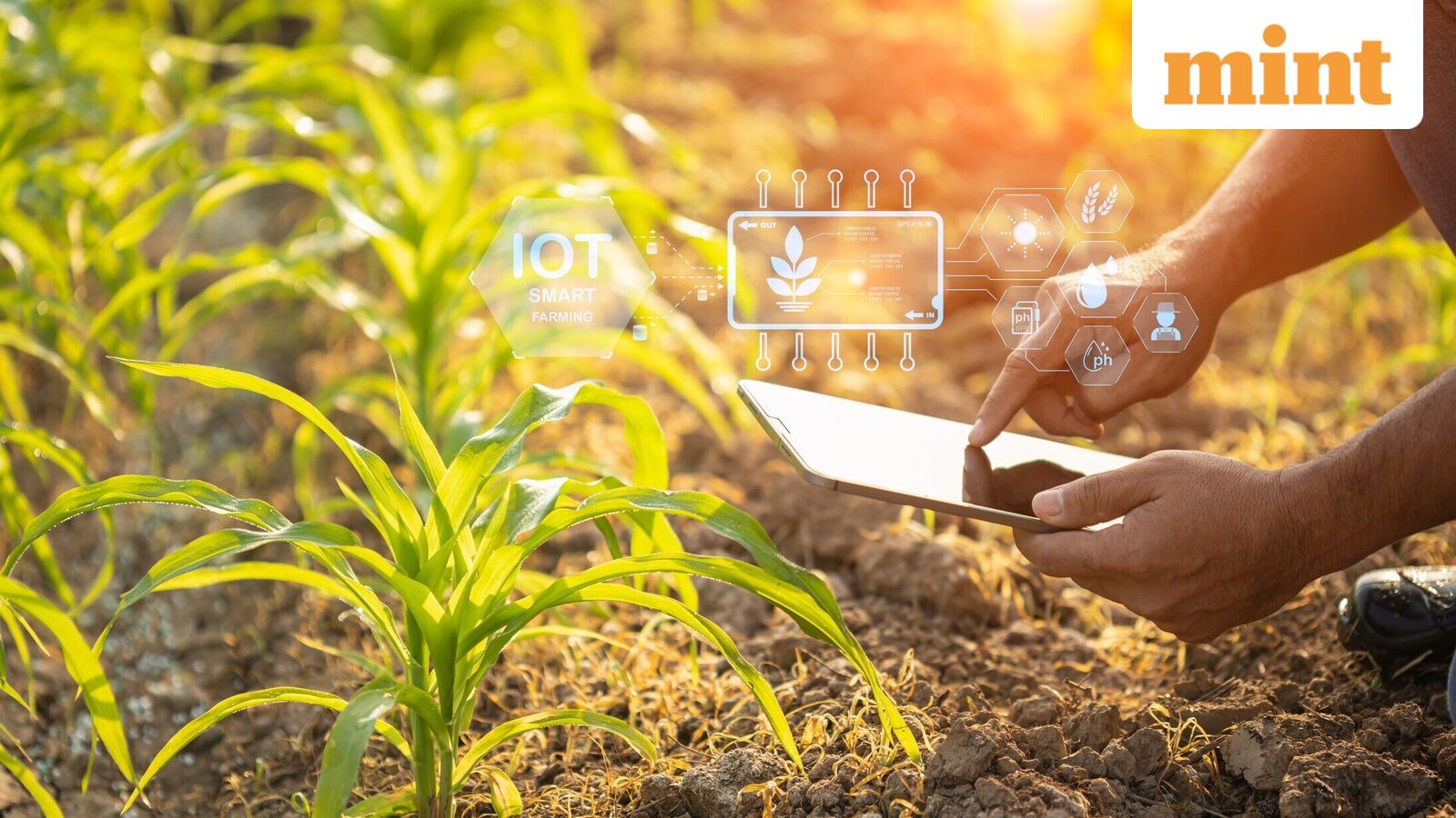 Kris Gopalakrishnan: The age of AI needs a new growth model—green innovation and entrepreneurship