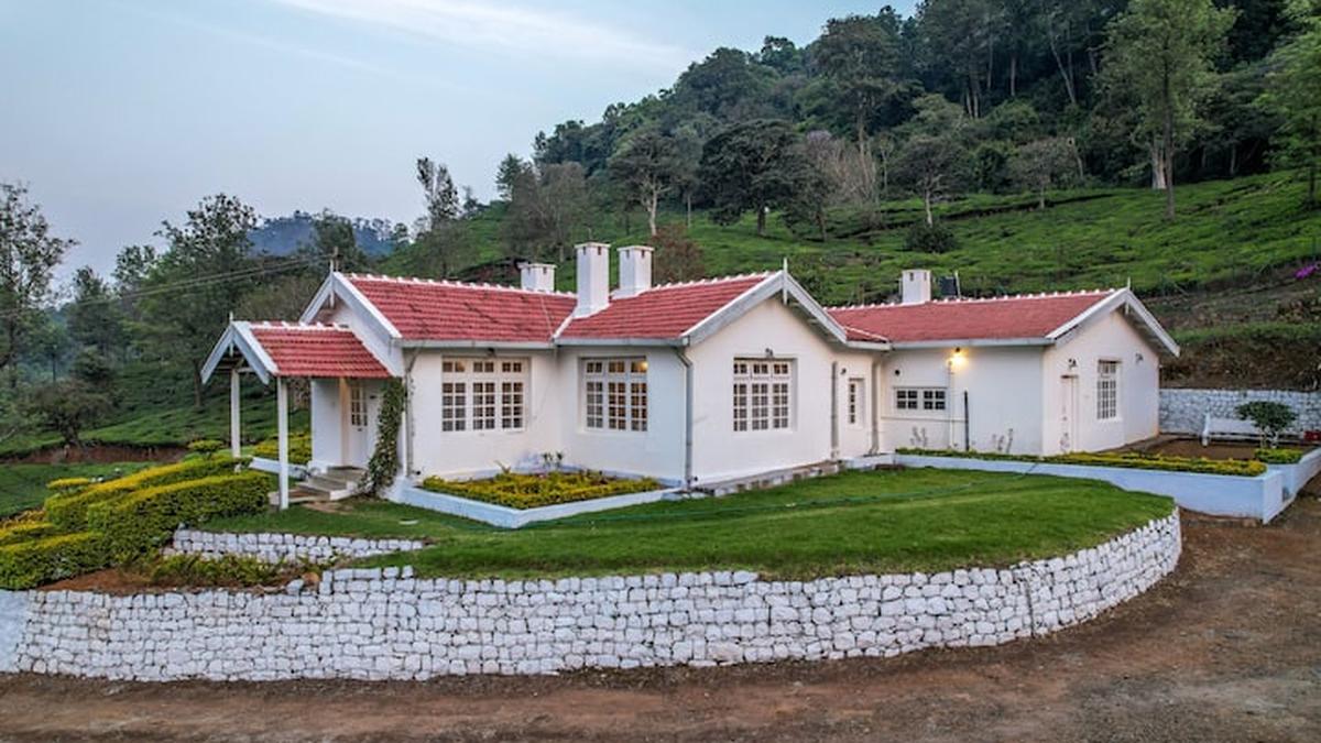 Tea in Pembroke: An immersive experience at a 100-year-old tea plantation in Coonoor