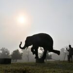 Summer Activities in Coimbatore: Trek, swim, or learn martial arts