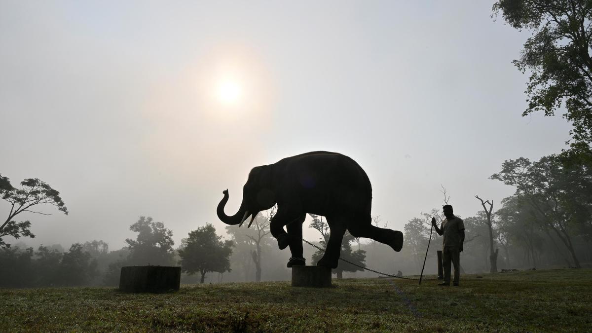 Summer Activities in Coimbatore: Trek, swim, or learn martial arts