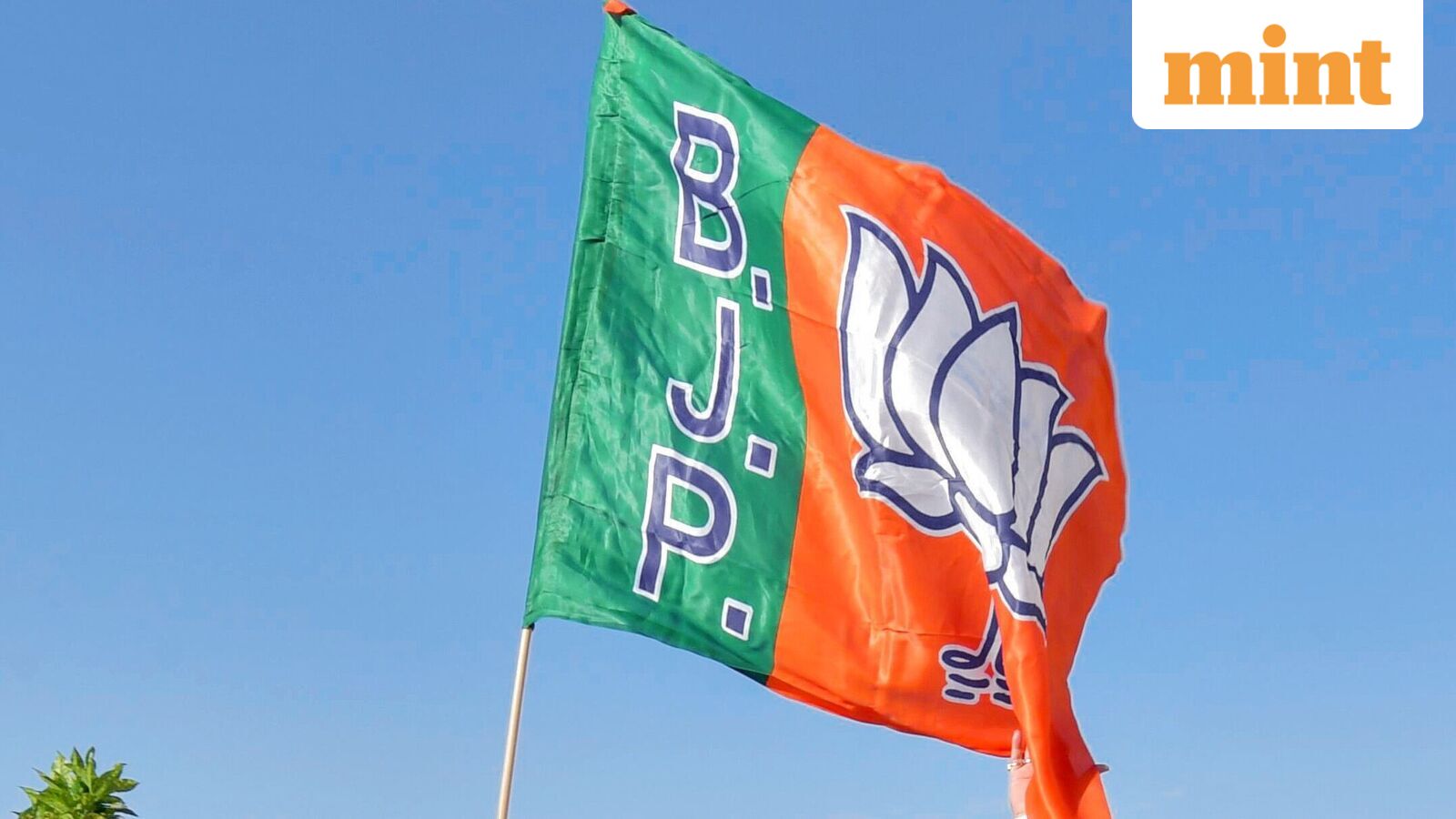 BJP issues whip for MPs ahead of special extended Budget Session of Parliament