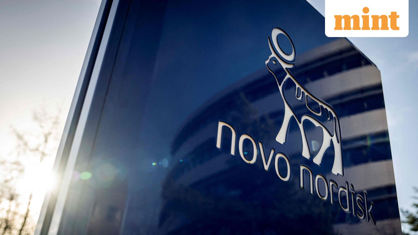 Race for AI-developed drugs heats up: Wegovy-maker Novo Nordisk ties up with OpenAI after rival Eli Lilly seals deal