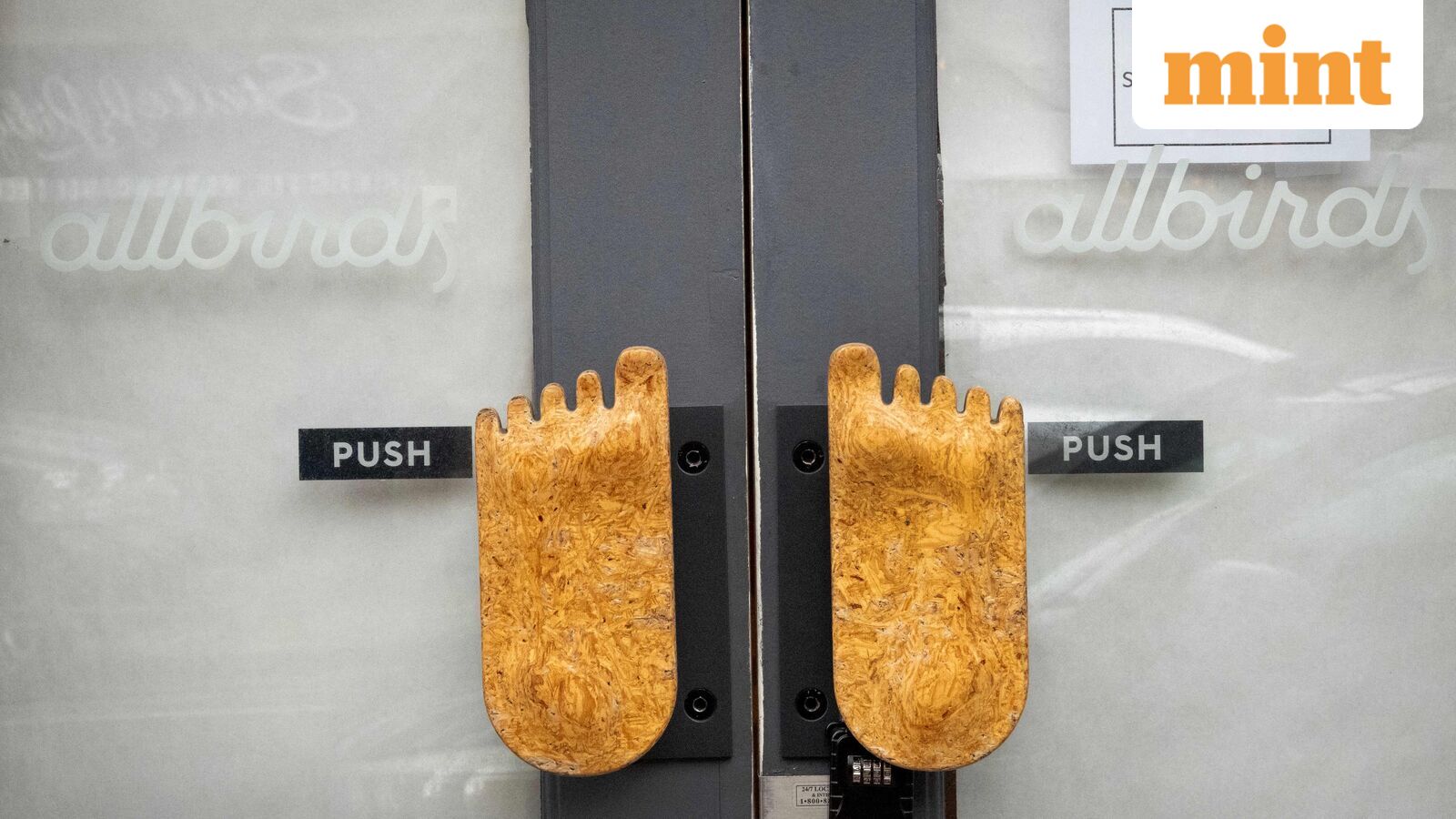 Shoemaker Allbirds stock jumps nearly 400% after rebranding to AI company